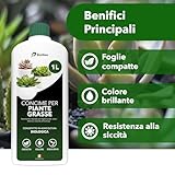 Bionee B0FXMXG9VJ lato 2