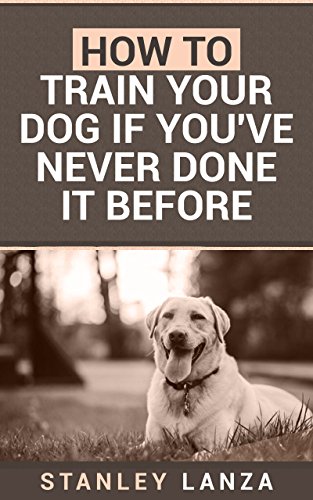 training your dog as a therapy dog