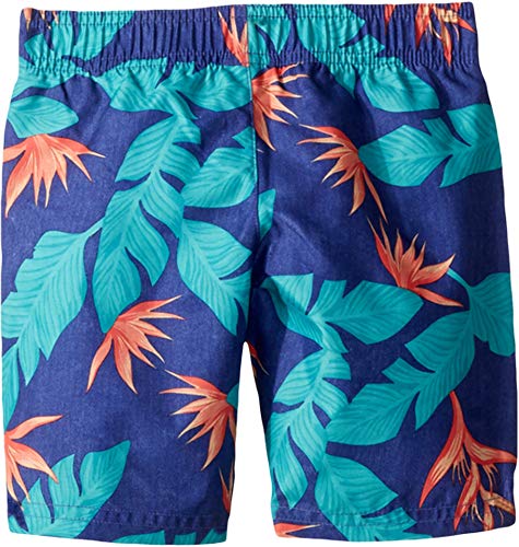 Image of Hurley Baby Boys' Swim Suit 2-Piece Outfit Set