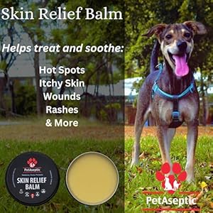 Skin Relief Balm Topical Skin Treatment for Dogs | Helps with Cuts Burns Rashes Wounds Dry Itchy Skin Hot Spots  Irritated Skin | Helps Restore Heal  Protect Skin | 2oz Tin  Cucciolini Doodles Skin relief balm topical skin treatment for dogs | helps with cuts burns rashes wounds dry itchy skin hot spots  irritated skin | helps restore heal  protect skin | 2oz tin   cucciolini doodles