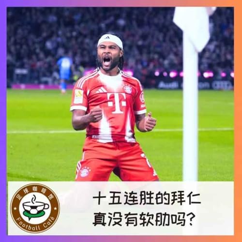 528 十五连胜的拜仁，真没有软肋吗？ cover art