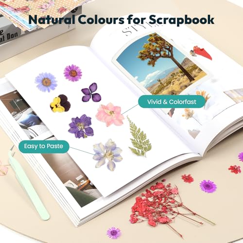 Resiners UV Light & Resiners 174PCS Dried Pressed Flowers miniatura 5