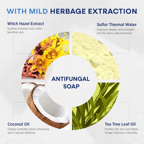 Image of Hermon Antifungal Soap with Tea Tree Oil: Antifungal Treatment Bar Soothing Care & Relief of Itchy for Ringworm, Jock Itch, & Athlete's Foot - Body & Face Wash - Original & Lavender 4Pack
