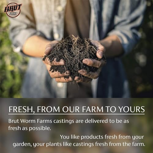 Brut Organic Chicken Compost 1 Cubic ft Fertilizante 2 Pack miniatura 4