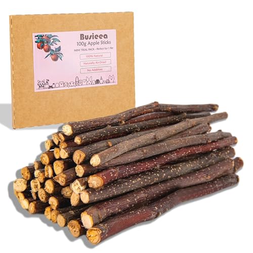 Busieea Premium Natural Apple Sticks - 100g/3.52 OZ MINI Trial Pack - Perfect for 1 Pet Molar Chew Treats for Rabbits Chinchillas Guinea Pigs Hamsters Small Animals