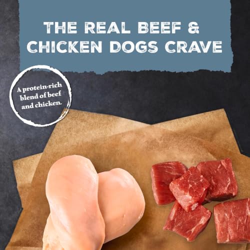 Blue Buffalo Wilderness Beef & Chicken Adult Wet Dog Food, 12.5 oz, 12 ct | 32g Protein, Real Beef #1 Ingredient, Grain-Free Recipe, Tasty Mix-In or Dry Dog Food Topper, High Protein to Fuel Adventures - image 3