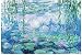 Hjj Adulte Jigsaw Puzzle Nénuphar Monet 1000 Piece Peinture célèbre Forêt Plante Animale Paysage océan Décompression Jeu