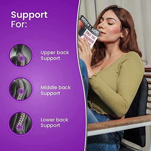 Image of ZAXTY Back Rest Lumbar Support for Chair Back Pillow for Car Best Use for Office Home Travel Cars Seat Provides Low Back Support Improves Posture Provides Comfort |Black|Universal