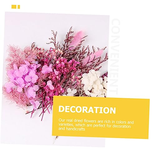 Kit de flores secas para manualidades y decoración miniatura 7