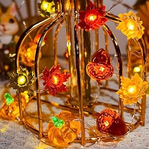 Thanksgivingdecorationacorn3dpumpkinmapleleafstringlightsbatteryoperated10ft30ledsfalllightswithremoteharvesthalloweenpartylightsforhomeautumngarlandchristmasdecor Urban Country Home Decor Thanksgiving decoration acorn 3d pumpkin maple leaf string lights battery operated 10ft 30 leds fall lights with remote harvest halloween party lights for home autumn garland christmas decor urban country home decor