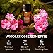 Gya Labs Egyptian Geranium Essential Oil - 0.34 Fl Oz - for Hair, Skin, Diffuser, Aromatherapy & DIY Candle Making Scent