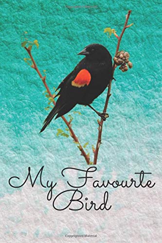 My favorite bird Red Winged Blackbird journal notebook woderful gift 6×9 100 page: Lined notebook/journal gift/6×9 100 page