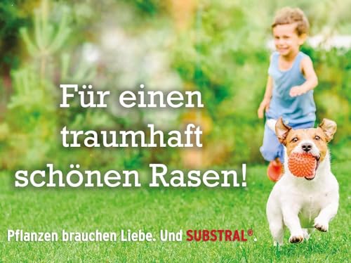 Substral Rasensamen Der Robuste, Sport- und Spielrasen, Einzigartige Strapazierrasen-Mischung, 1 kg für 50 m²