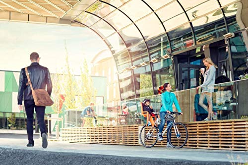 Cadeirinha Cadeira Traseira Para Bicicleta Thule Ridealong Lite