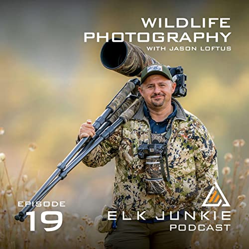 EP. 19 Wildlife Photography with Jason Loftus Bugling Cow Elk