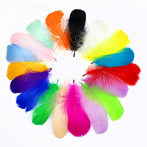 Tukcherry 300Pcs Decor Feathers,Colorful Feathers for DIY Craft Wedding Home Party Decorations