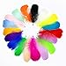 Tukcherry 100 Plumes Multicolore, Multicolore Plume Décoration, Idéal pour Costumes, Chapeaux, Décoration d'intérieur Fete Mariage Anniversaire, Multicolore (Couleur)