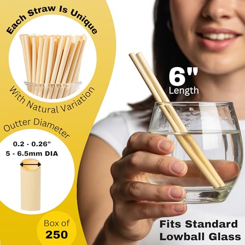 Pitillos desechables HAY! STRAWS, 6 pulgadas, 250 unidades miniatura 2