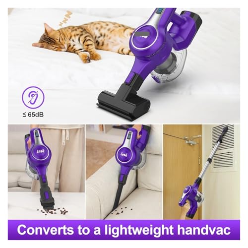 Vacuum Cleaning Carpet Pet Hair