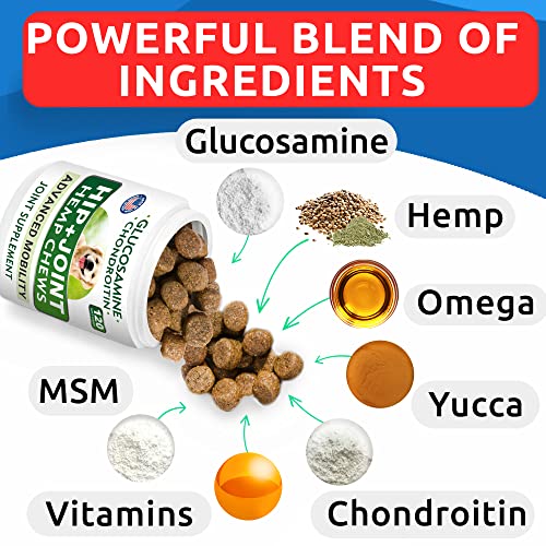 BARK&SPARK Advanced Hemp Chews for Dog Joint Pain Relief - Glucosamine Chondroitin Hemp Treats Hip Joint Health - Joint Supplement Large Breed & Small - Hemp Treats Joints Old Senior Dog (120Ct) - Image 5