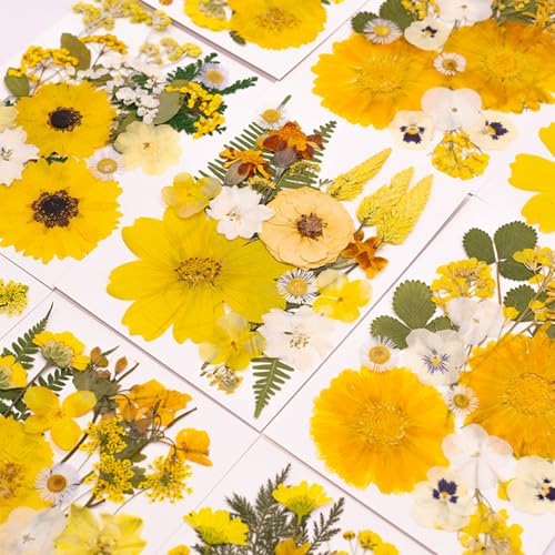 Set artesanal de flores secas prensadas para decoración miniatura 6