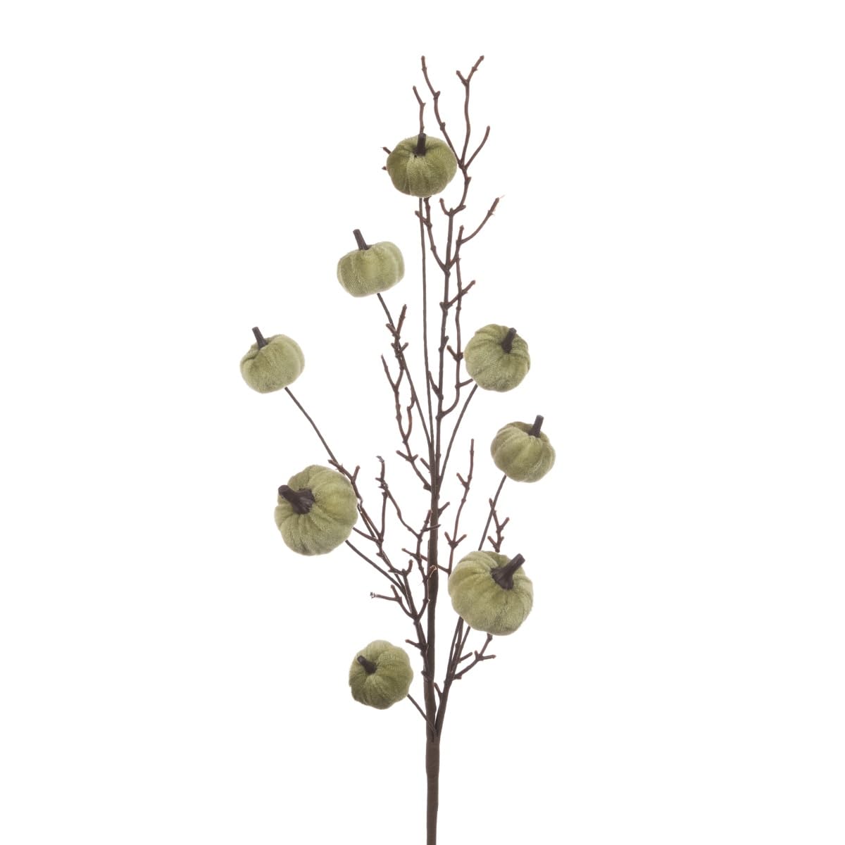 Floral Silk Sage Velvet Green Pumpkin Halloween Branch