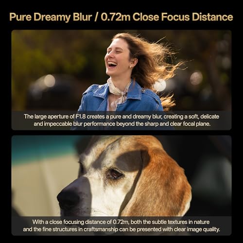 Image of VILTROX AF 135mm F1.8 LAB FE Lens for Sony E Mount, 135mm f /1.8 Wide-Angle Fixed-Focus Telephoto Full Frame Lens Compatible with Sony a7IV a9 a7RII a7CII FX3 ZVE1 A1 a6700 a6400 ZV-E10II