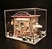DollLabs Miniature Dollhouse, DIY Mini House Kit with Led Lights and Furniture for Gift Set (Coca's Fantastic Ideas)…