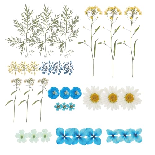 Set de flores secas prensadas para manualidades 33 piezas miniatura 1