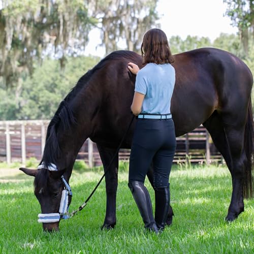 Equinavia Estelle Womens Hand Beaded Leather Equestrian English and Western Horse Riding Belt3