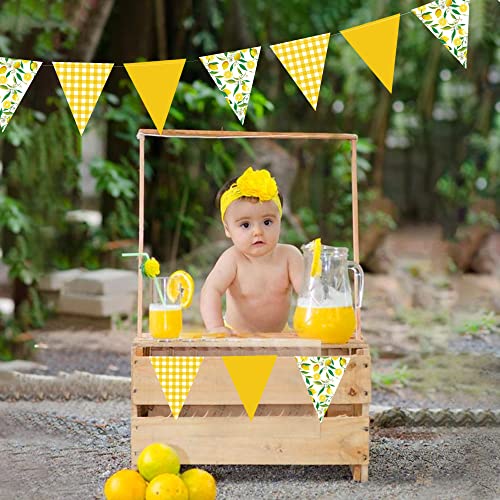 Image of 44 Ft Lemon Party Decorations Yellow Plaid Floral Lemon Banner Bunting Hanging Paper Triangle Garland Streamer for Wedding Bridal Shower Engagement Bachelorette Baby Shower Birthday Party Supplies