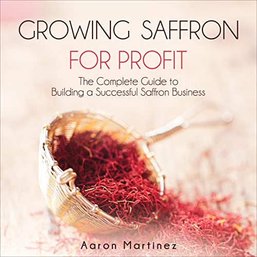 Power-Up With The Transformative Full Audiobook Experience!