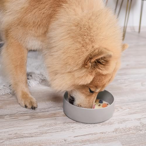 ne&no® Silikon Fressnapf 1200 ml für kleine und mittelgroße Hunde | Futternapf Hund rutschfest | Hunde Trinknapf | Hundenapf