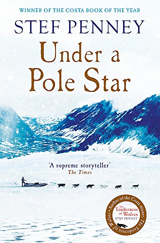 Under a Pole Star view 2