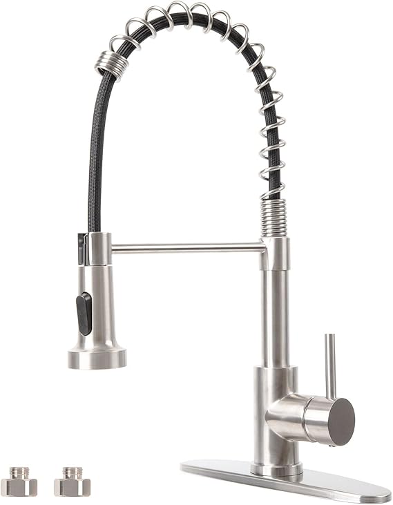 Besdor Kitchen Faucet with Pull Out Sprayer, Spring Single Lever Tap
