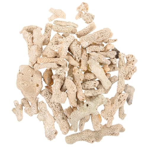 BESPORTBLE Coral Triturado: Ajuste De Ph Provisión De Sustrato para Acuarios De Agua Dulce - 500 G De Coral Resistente para Exteriores Interiores Y Acuarios Domésticos Mantenimiento del Agua