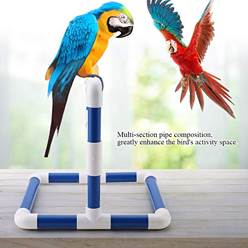 Parrot Training Stand and Bird Perch for Shower Bath PVC Play Gym with Grinding Toy Holder, Bird Standing Platform for Pet Birds - Image 3