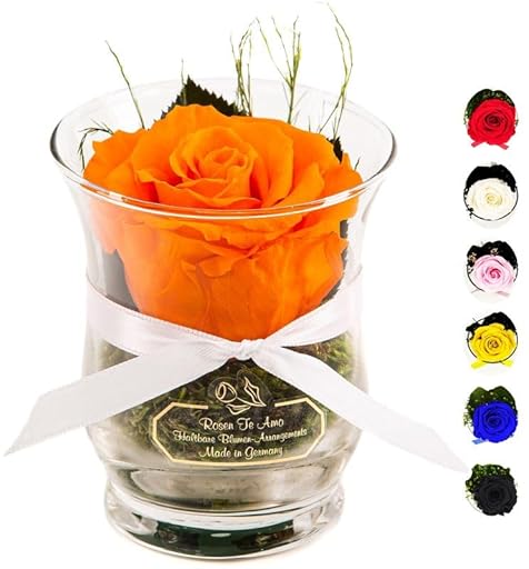 Rosen-Te-Amo, Regalo Dia de la Madre | Rosa eterna Naranja perfumada en Caja Regalo| Maceta de Vidrio || Flores Naturales Domicilio | Decoracion hogar | Regalos Originales Mujer | Ya disponible en tu tienda friki favorita! En mundofriki.es!