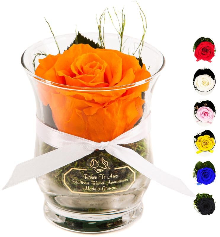 Rosen-Te-Amo, Regalo Dia de la Madre | Rosa eterna Naranja...