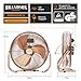 Brandson - Windmaschine Retro Stil 200 Watt - Sieger Ventilatoren und Luftkühler 2026 - Standventilator 57 cm - Bodenventilator - hoher Luftdurchsatz - stufenlos neigbarer Ventilatorkopf - GS