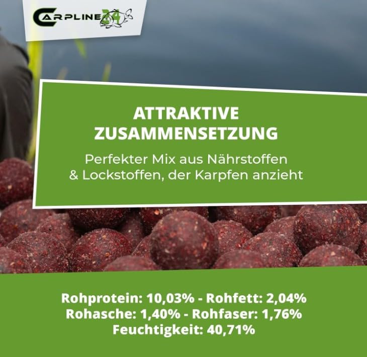 Futterboilies Robin Red/Knoblauch - 10 kg - 16 mm - Karpfenköder zum Angeln, Futterboilies zum Anfüttern von Karpfen, Carp Baits, Angelfutter mit Lockstoff