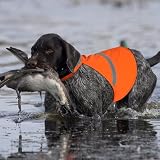 Warnweste Hund mit reflektierenden Elementen für Outdoor Aktivitäten Tag und Nacht, Verstellbar Sicherheitsweste für Hunde für Hält den Hund Sichtbar mehr Sicherheit im Dunkeln Orange XL