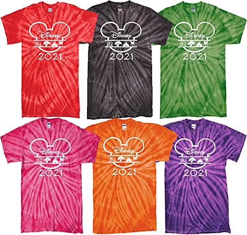 DisneyWorld 4 Park 2022 Tie Dye Shirts, Tie Dye Tee Shirt, DisneyWorld Matching Shirts, Family Vacation 2022 Shirt, Colorful Shirts