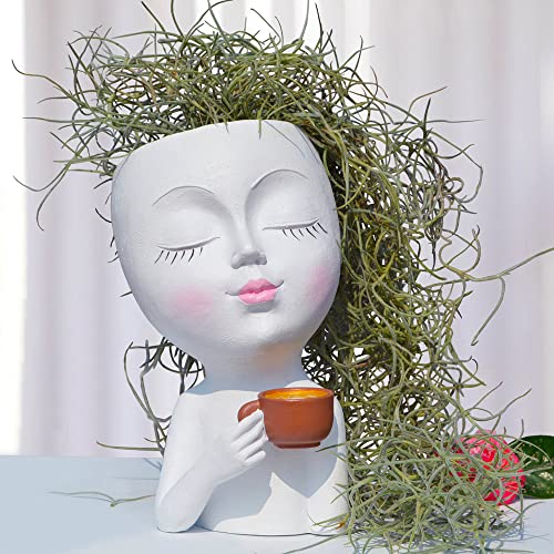 Face Vase Head Planter, Face Planter, Small Plant Pots Outdoor Planters For Indoor Plants, Succulent Flower Pots Plant Pot With Drainage, Gifts For Women Mom Sister, White Vases Coffee Table Decor #TOP1
