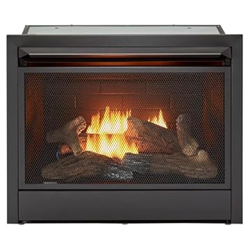 fireplace insert with blower