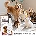 Pixava Dog Ear Infection Treatment Drops, Cat Ear Cleaner to Help Remove Debris &Smell for Cats & Dogs,Soothe and Relieve Itchiness