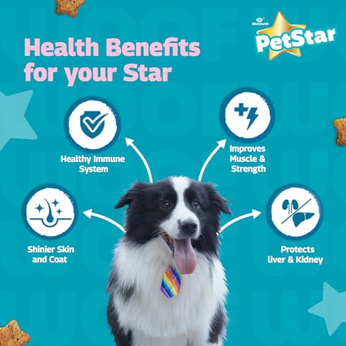 Image of Mankind PetStar Adult Dry Dog Food, 22% High Protein, Meat & Wheat Flavor, 1 kg | Complete & Balanced Nutrition for Adult Dogs
