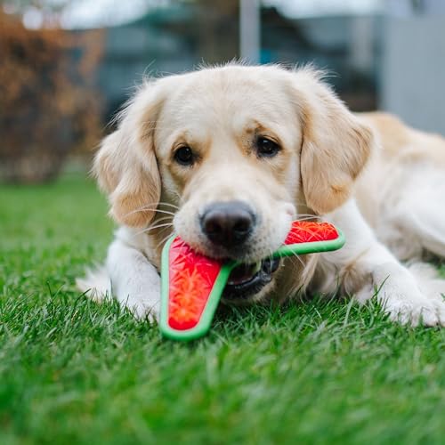 Dingo Hundespielzeug aus Hart Gummi TPR Boomerang 23 cm 17395
