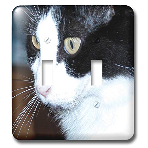Double interrupteur à bascule pour chat pour remplacer vos plaques électriques usées