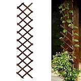 Expandable Garden Trellis, Wooden Lattice Wall Fence Trellis for Climbing Plants Ivy Vine Rose Clematis 13' x 68' for Outdoor Garden Patio Room Decor (1)